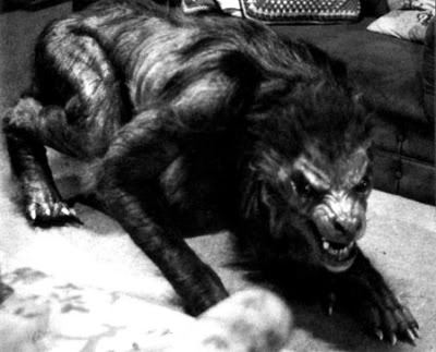 american-werewolf-in-london-photo